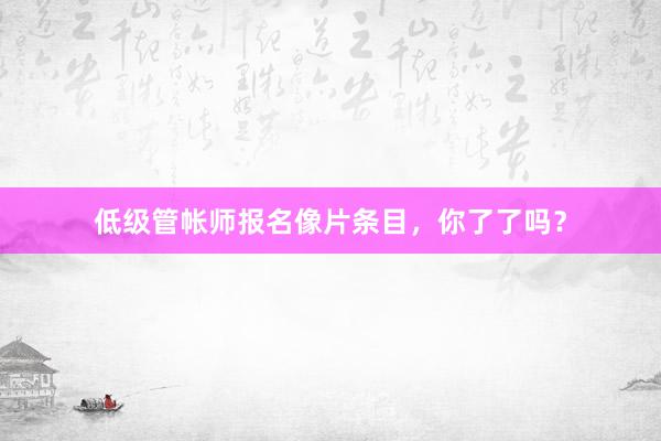 低级管帐师报名像片条目，你了了吗？