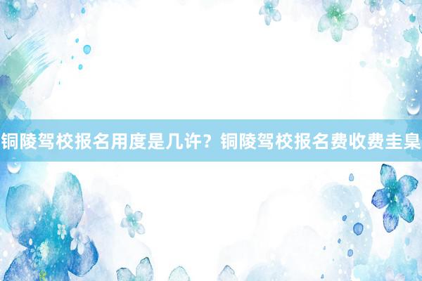 铜陵驾校报名用度是几许？铜陵驾校报名费收费圭臬