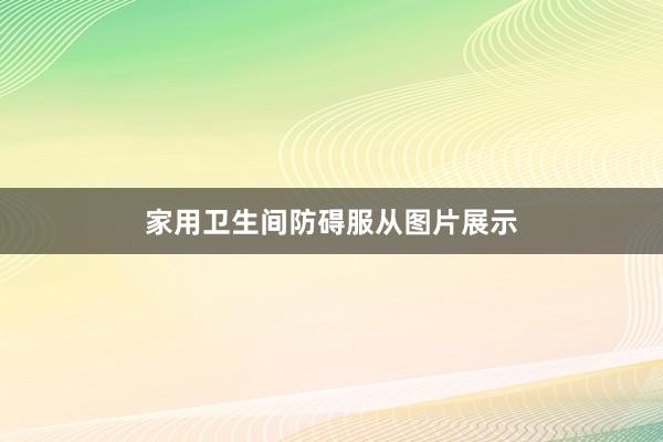 家用卫生间防碍服从图片展示