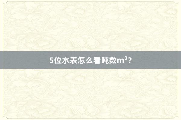 5位水表怎么看吨数m³？